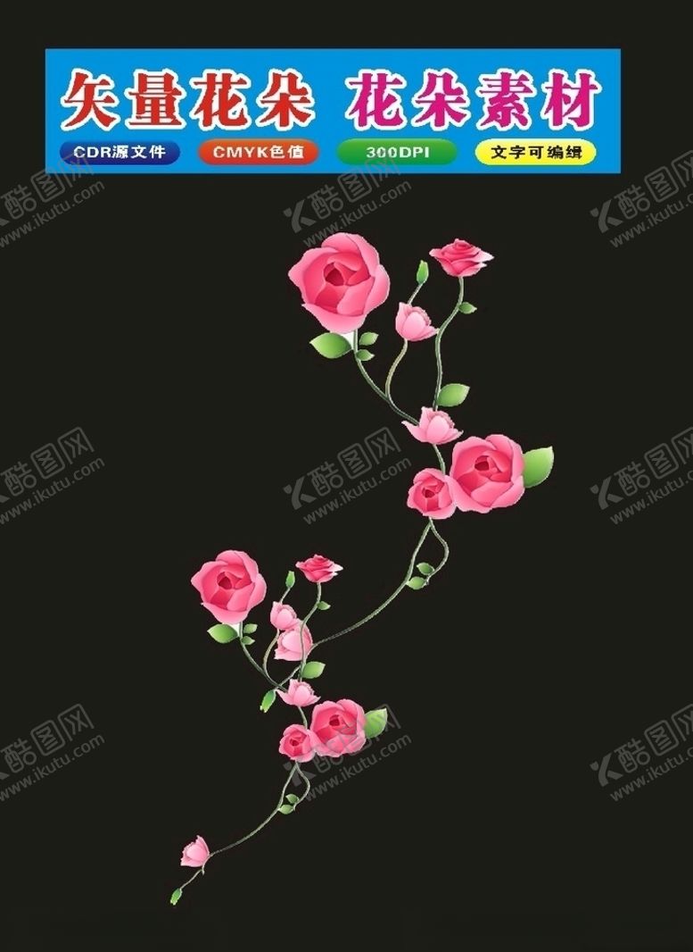 编号：56479410052025517097【酷图网】源文件下载-花植物月季