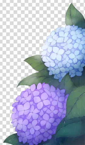 花鲜免扣鲜卉