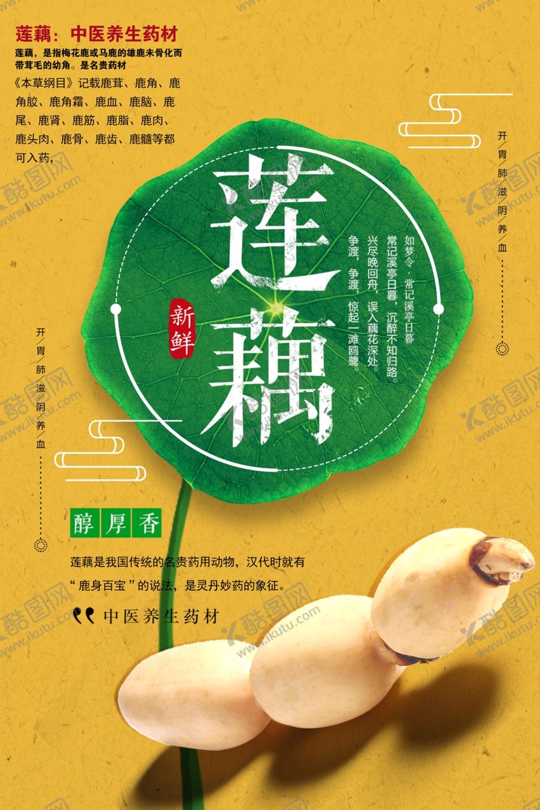 编号：31705301210102325771【酷图网】源文件下载-莲藕