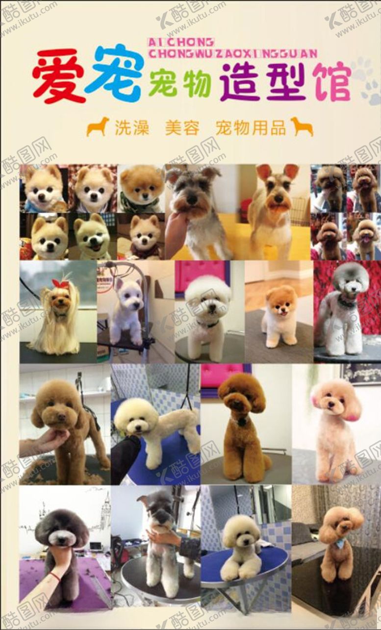 编号：76828205151452428183【酷图网】源文件下载-宠物