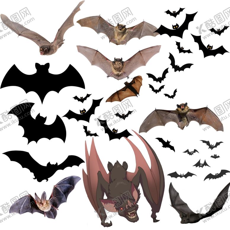 编号：83181410280852512615【酷图网】源文件下载-蝙蝠png免扣图片