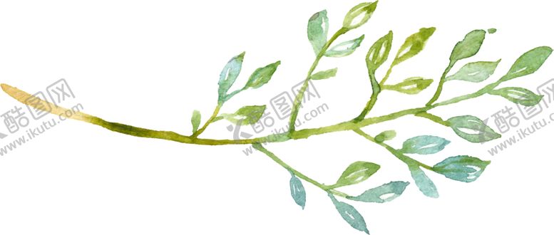 编号：96135710251532323854【酷图网】源文件下载-水彩手绘花卉花朵植物