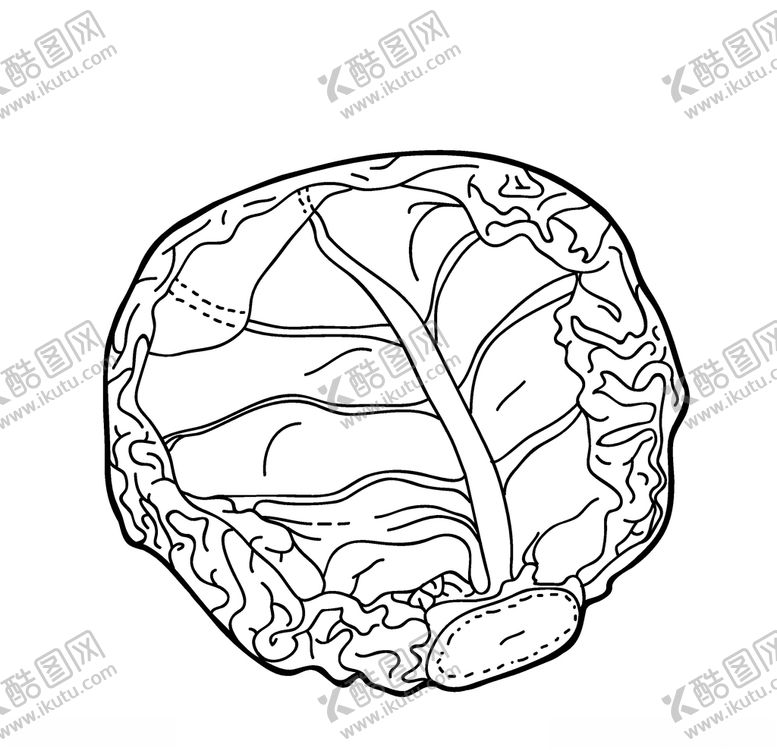 编号：35106110300152408142【酷图网】源文件下载-蔬菜