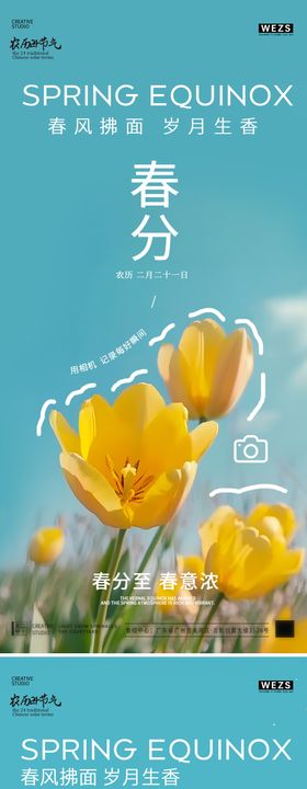 春分插画海报二十四节气天郁金香