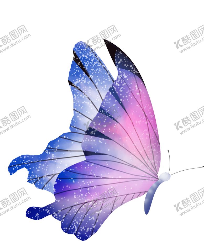 编号：84442601200132402373【酷图网】源文件下载-蝴蝶