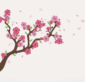 樱花