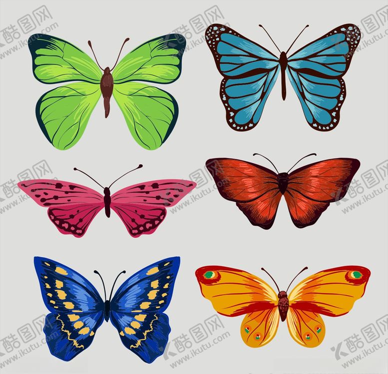 编号：79849109210722133849【酷图网】源文件下载-矢量蝴蝶