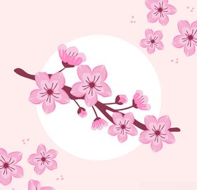 樱花