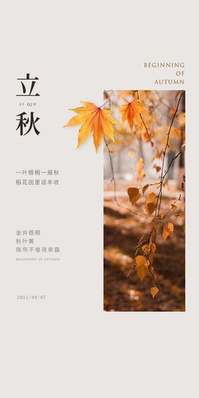 橙色窗户倒影圆圈立秋节日节气