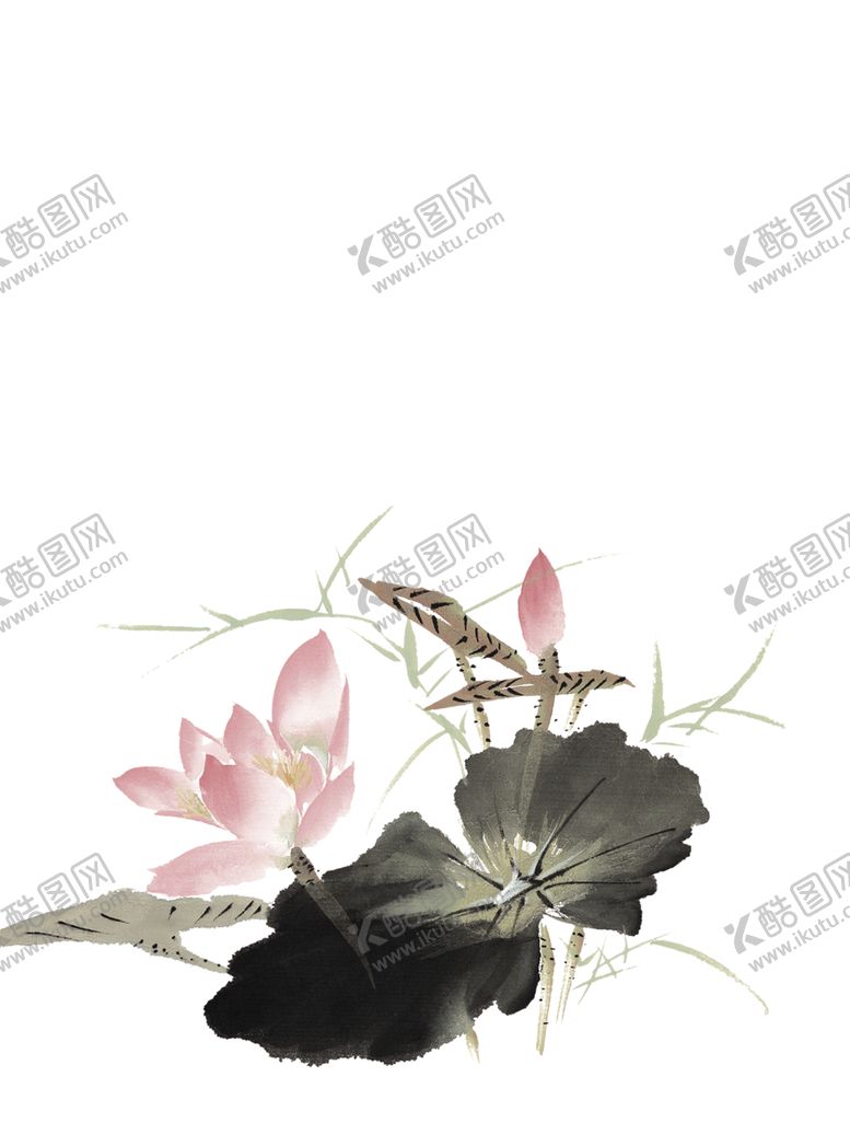 编号：17339505031951092145【酷图网】源文件下载-水墨荷花粉色荷花荷花意境
