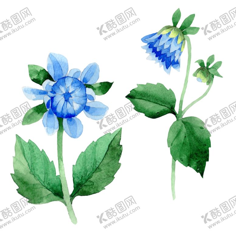 编号：68422307090627079369【酷图网】源文件下载-手绘花卉花