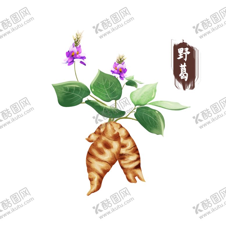编号：93058112131336309474【酷图网】源文件下载-野葛