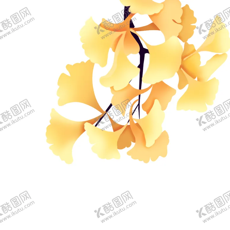 编号：57239104180854491926【酷图网】源文件下载-秋天银杏叶