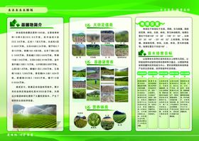 林场折页