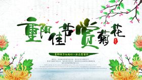 重阳佳节赏菊花展板