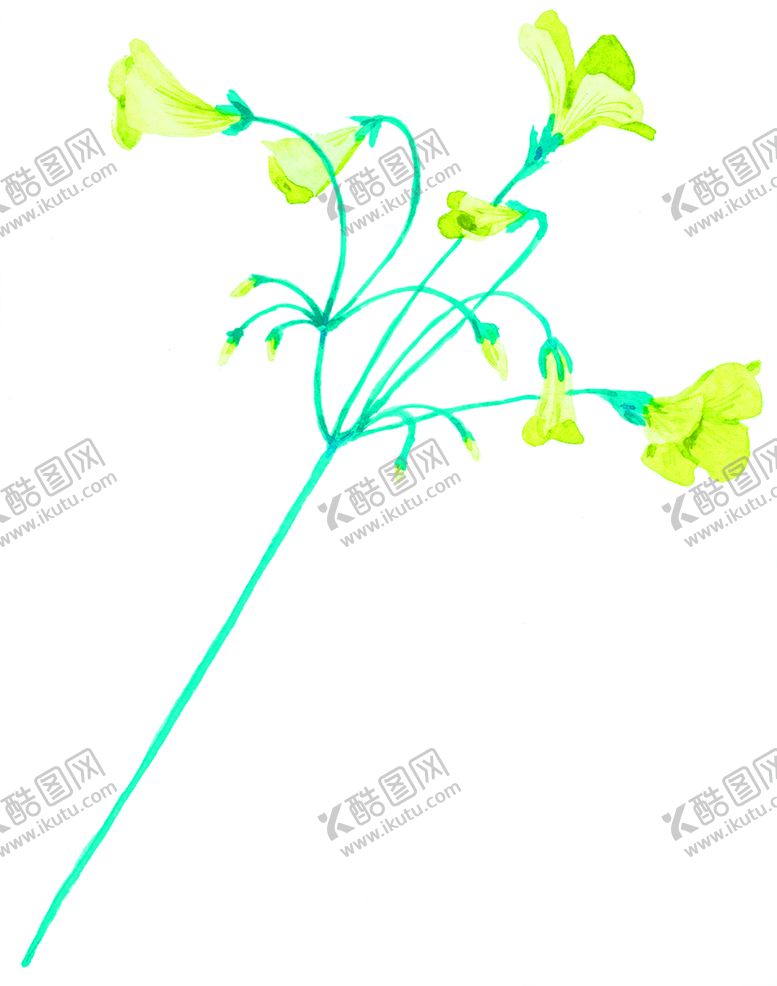 编号：44057910110610078961【酷图网】源文件下载-花素材