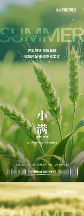小满麦田二十四节气节日海报2026