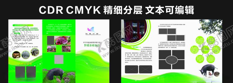 编号：53524909230050306251【酷图网】源文件下载-农业折页野猪养殖绿色