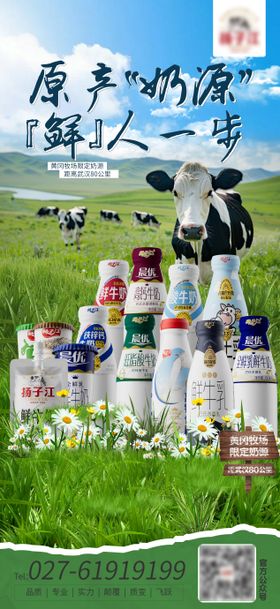 牛奶 鲜奶宣传海报04