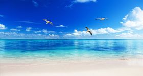 海边沙滩背景墙