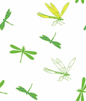 蜻蜓大化色块集合
