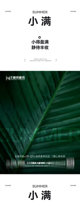 小满麦田二十四节气节日海报2026