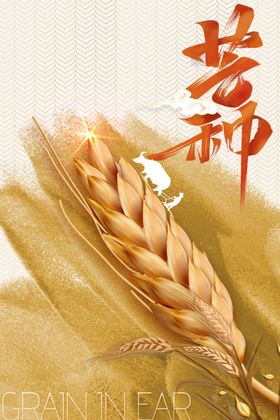 芒种海报