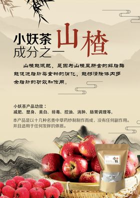 减肥产品减肥减肥海报中药