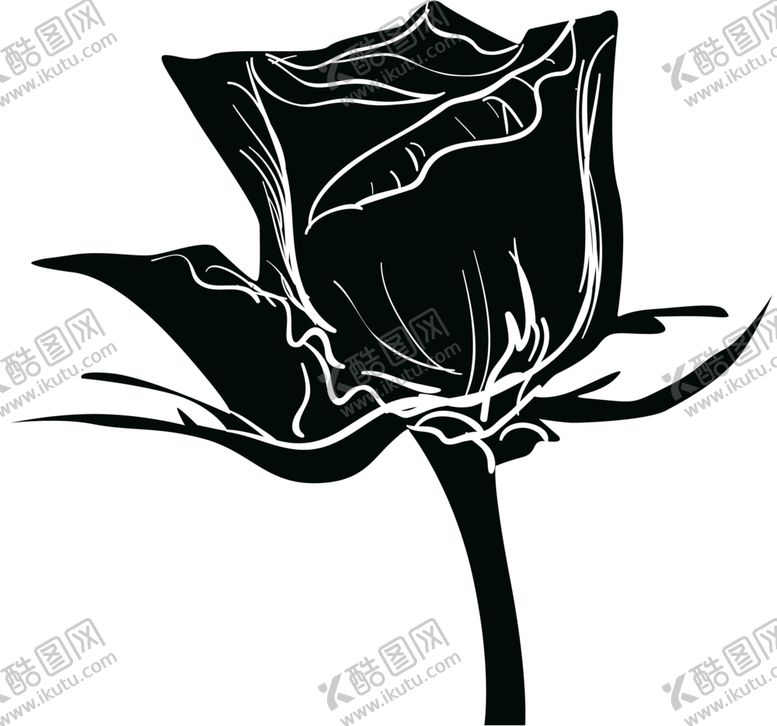 编号：80048405142113202534【酷图网】源文件下载-鲜花装饰