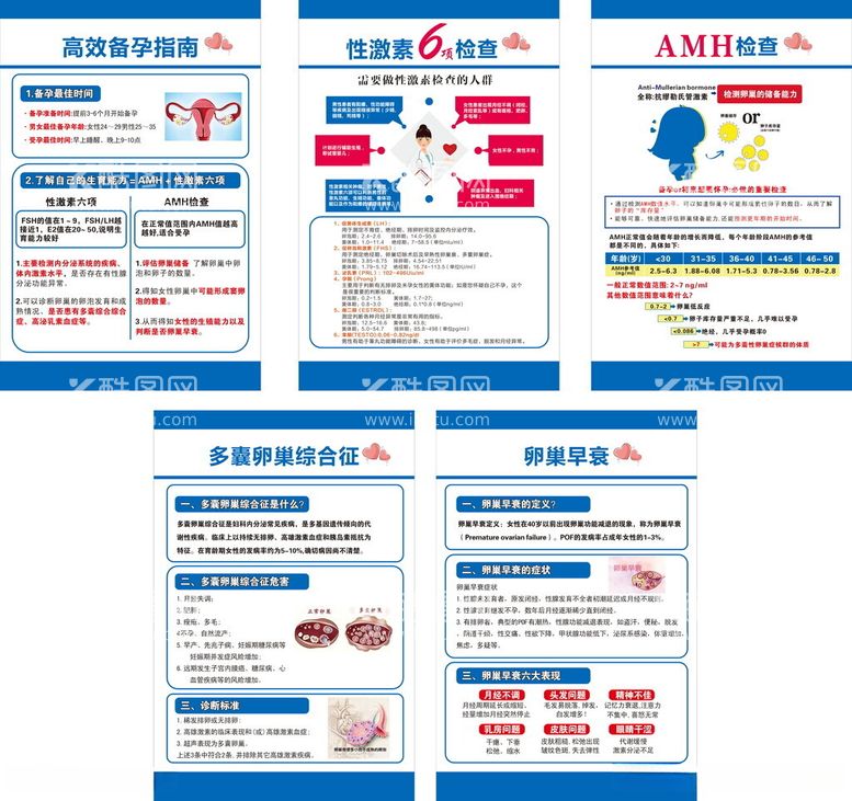 编号：82944112121459074364【酷图网】源文件下载-高效备孕指南性激素六项检查