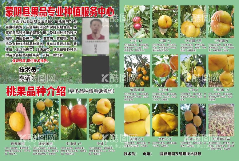 编号：69423809210802135289【酷图网】源文件下载-果品专业种植技术果园