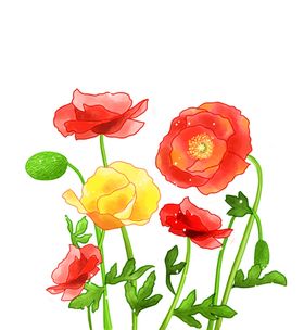 卡通鲜花