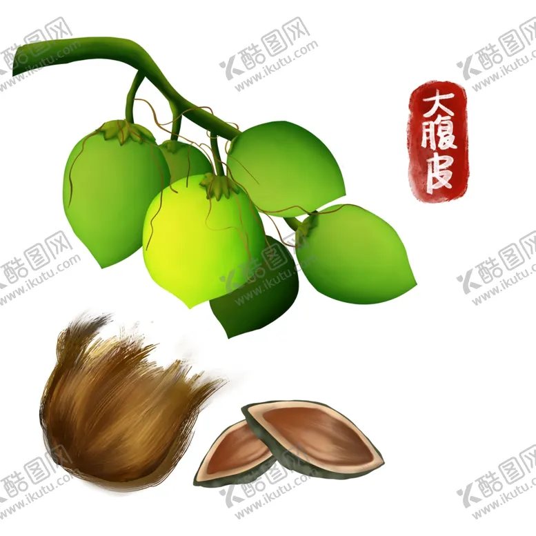 编号：69065212281855453694【酷图网】源文件下载-卡通大腹皮