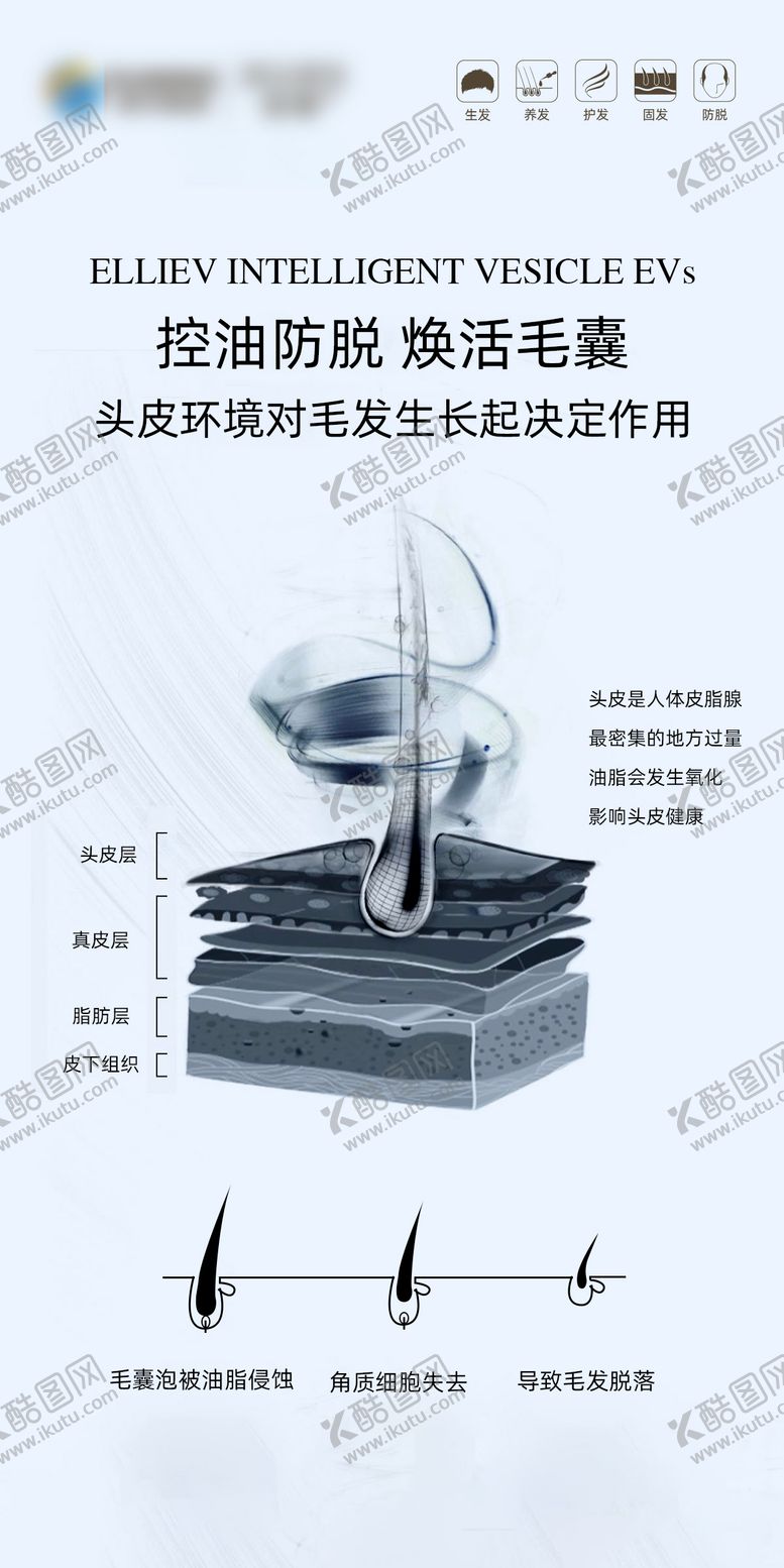 编号：48975410311504397041【酷图网】源文件下载-防脱产品海报