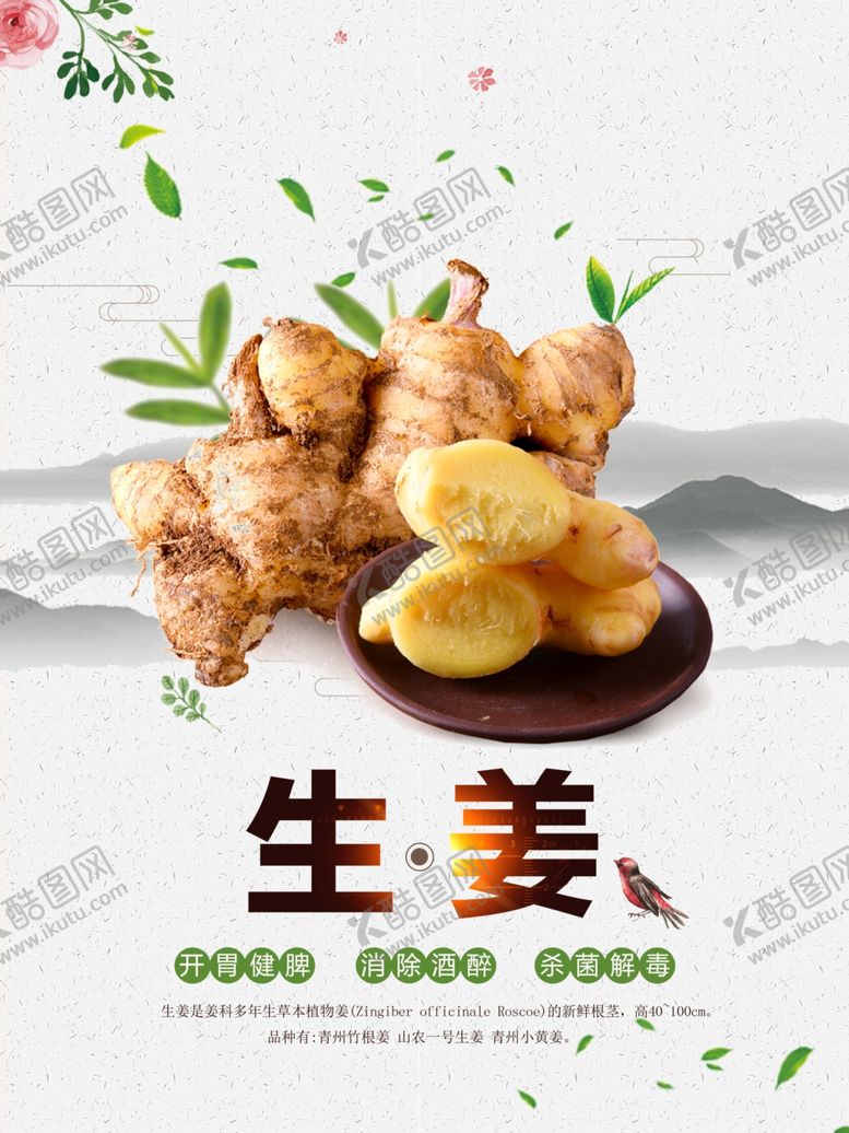 编号：17488105041348544579【酷图网】源文件下载-生姜海报