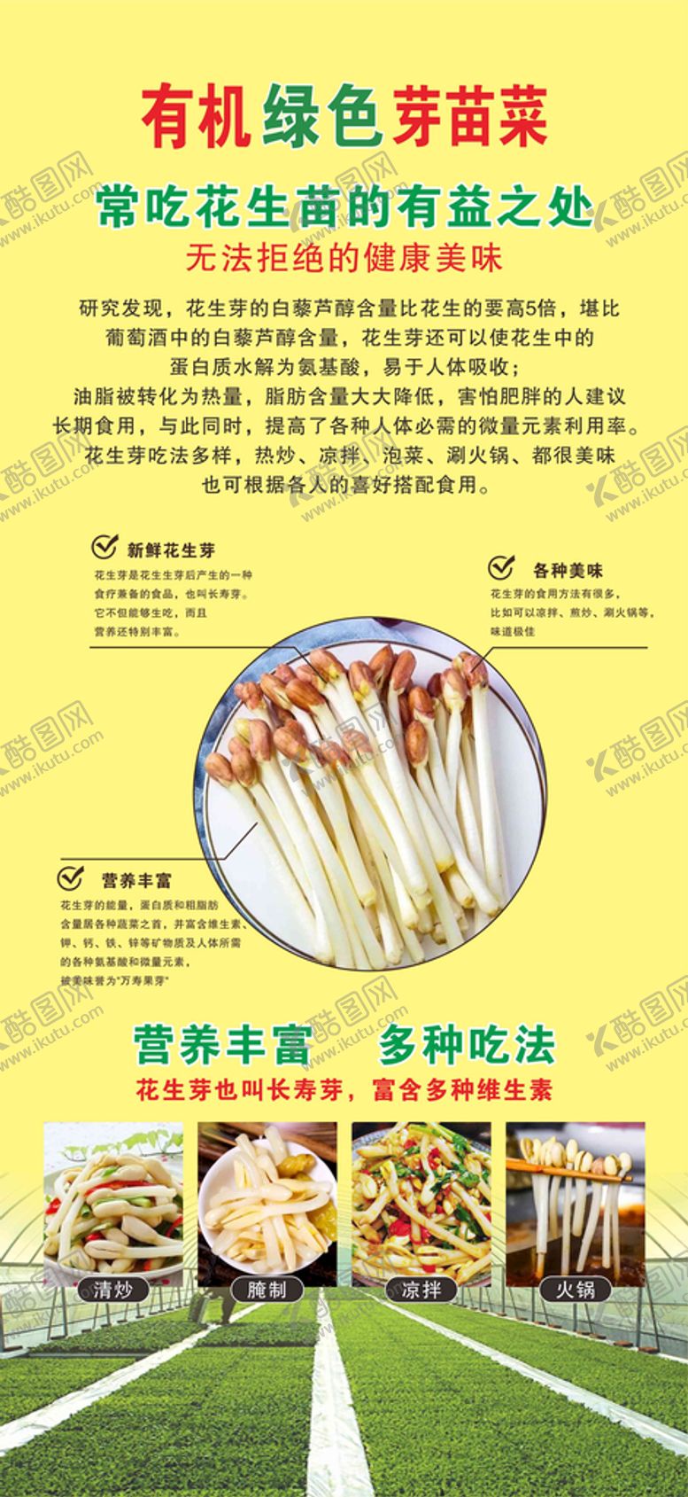 编号：42882101170311277830【酷图网】源文件下载-芽苗菜