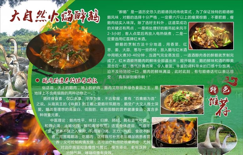 编号：25330404292100075660【酷图网】源文件下载-火焰醉鹅介绍海报