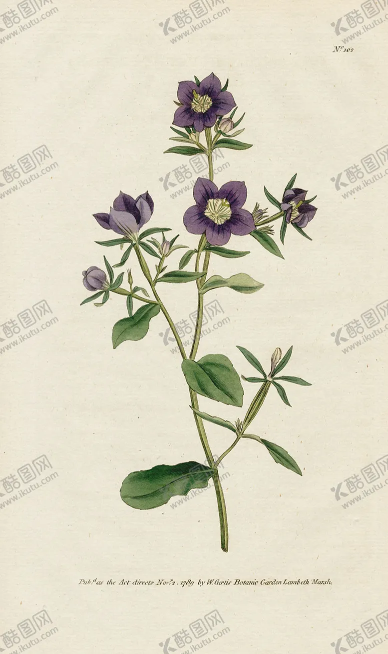 编号：13512707011151357106【酷图网】源文件下载-欧式复古色调花朵植物