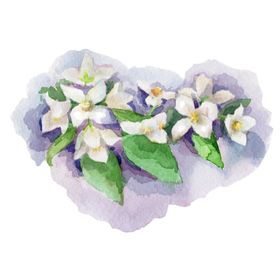 手绘花瓣