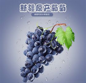 食品主图