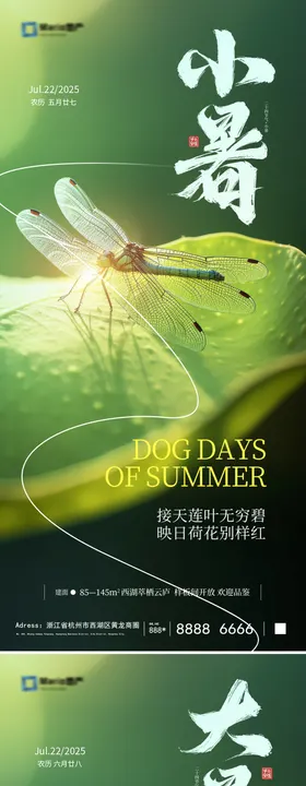 小暑大暑荷花系列海报