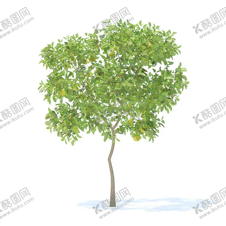 编号：05438710120019066897【酷图网】源文件下载-C4D模型树