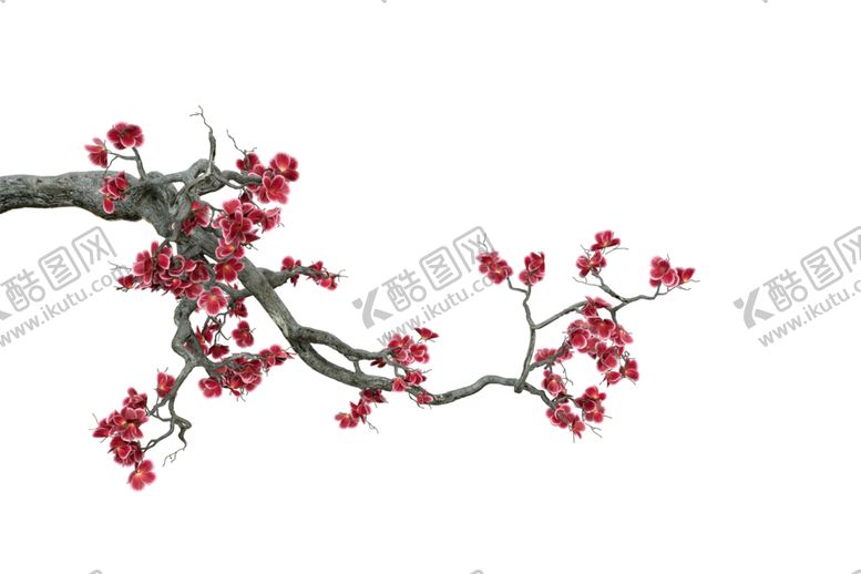 编号：27508209261613588595【酷图网】源文件下载-梅花素材