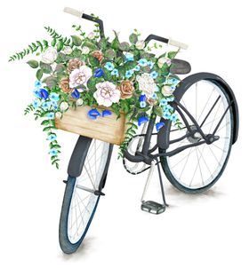 花蓝自行车