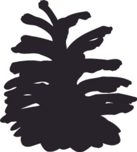 植物果实系列种子