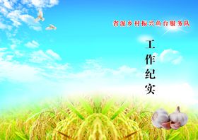 乡村振兴封面 工作纪实 绿色封