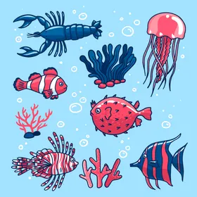 海洋生物插图动底动底世界