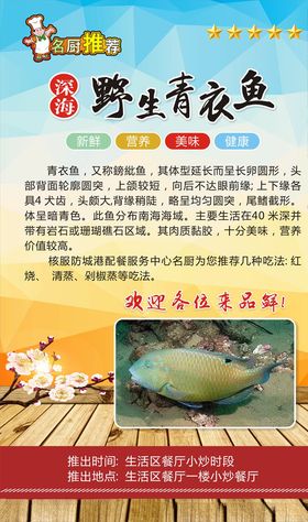 青衣鱼