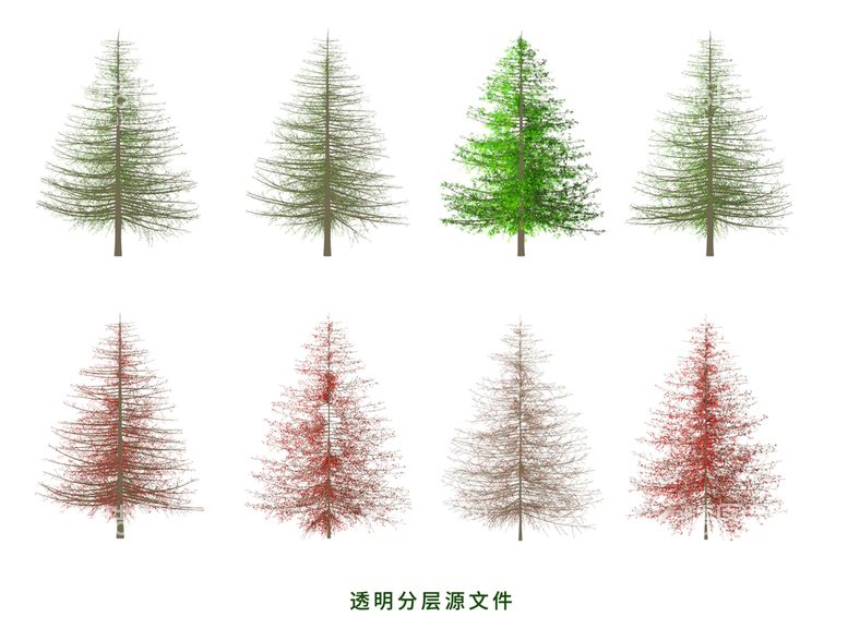 编号：58340610042340142076【酷图网】源文件下载-云杉