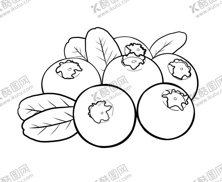 编号：16267906280703141280【酷图网】源文件下载-蓝莓